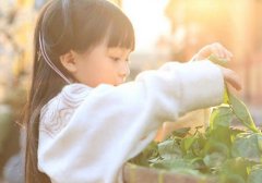 起名家字开头_家字名字大全